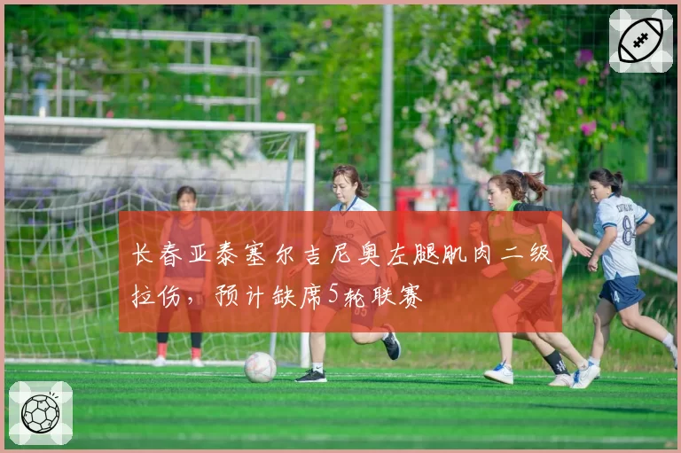 长春亚泰塞尔吉尼奥左腿肌肉二级拉伤，预计缺席5轮联赛