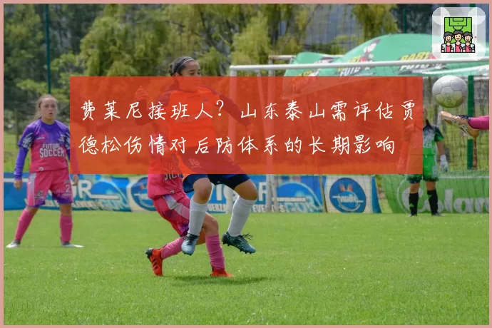 费莱尼接班人？山东泰山需评估贾德松伤情对后防体系的长期影响