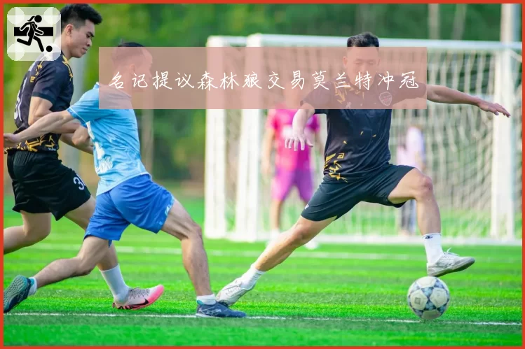 名记提议森林狼交易莫兰特冲冠