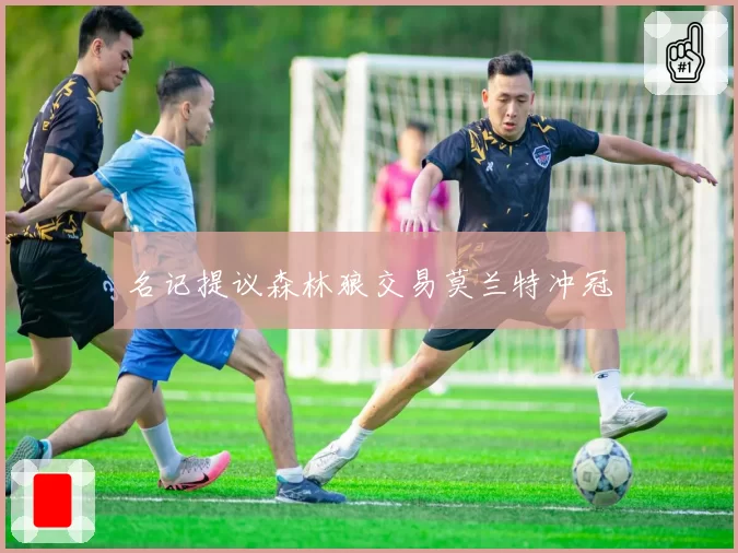 名记提议森林狼交易莫兰特冲冠