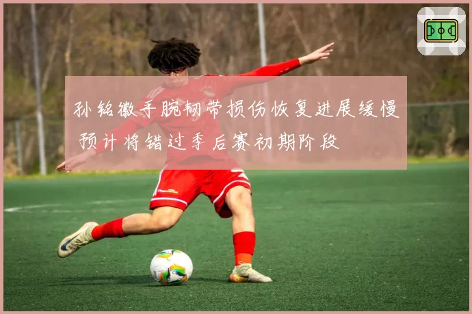 孙铭徽手腕韧带损伤恢复进展缓慢 预计将错过季后赛初期阶段